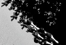 Photo of Преимущества черно-белых фотографий